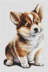Corgi Puppy (image for) Corgi Puppy